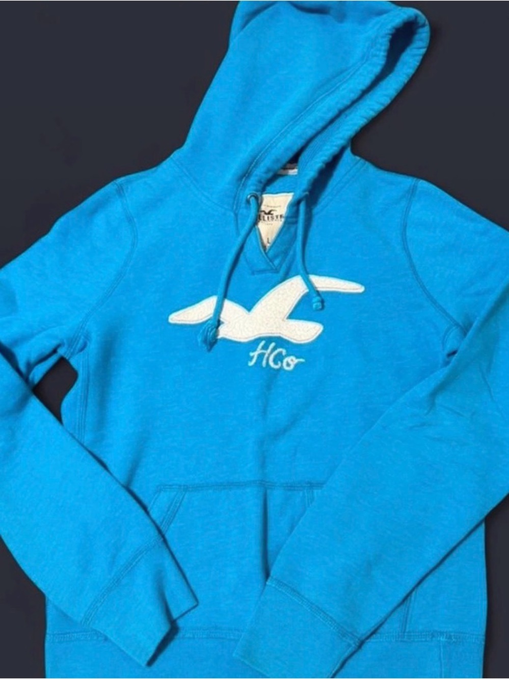 Hollister y2k hoodie